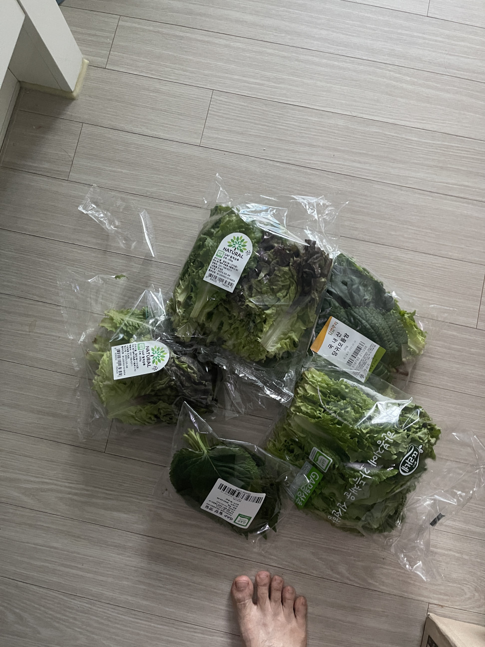 4EC2074E-037A-4200-9265-C85756AB25C1.jpeg : 자러감 4EC2074E-037A-4200-9265-C85756AB25C1.jpeg : 자러감