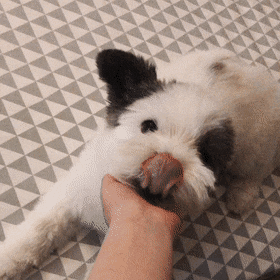 1687591133078.gif : 아 개배고파 1687591133078.gif : 아 개배고파