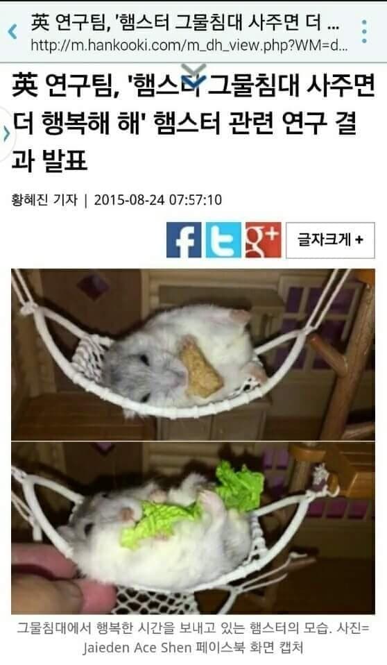 1656347329895.jpg : 이거 귀엽다!! 1656347329895.jpg : 이거 귀엽다!!
