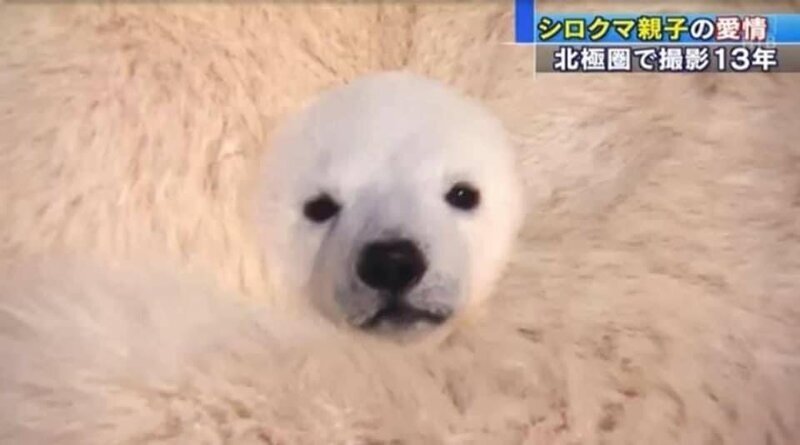 01747a2712763f44f840b88f56d68575.jpeg : 집에서 일하니까 좋다 01747a2712763f44f840b88f56d68575.jpeg : 집에서 일하니까 좋다