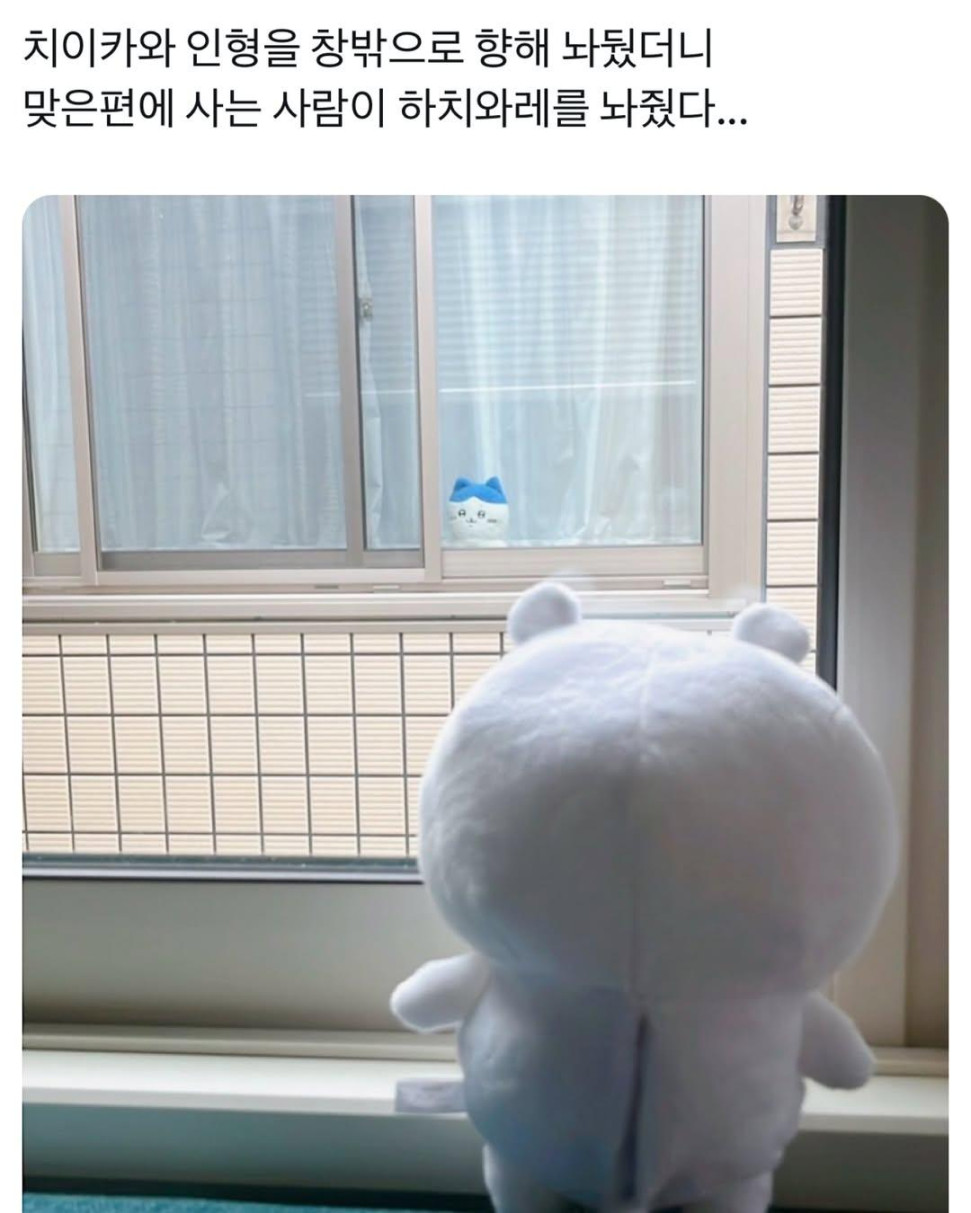 9a9ba8a4523ff3532832d1f757df9f3f.jpg : 졸리지만 자고 싶지 않다 9a9ba8a4523ff3532832d1f757df9f3f.jpg : 졸리지만 자고 싶지 않다