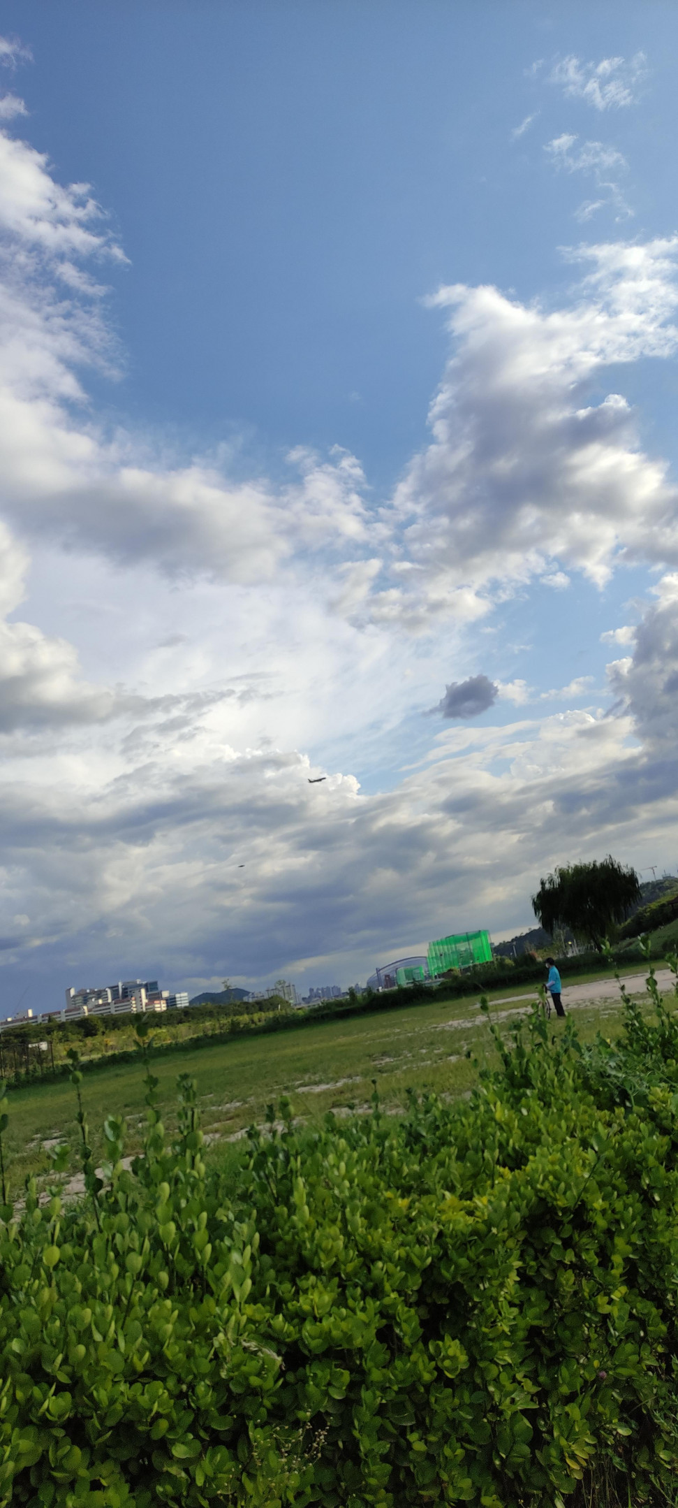 IMG_20210818_174215.jpg : 네흥 UFO IMG_20210818_174215.jpg : 네흥 UFO