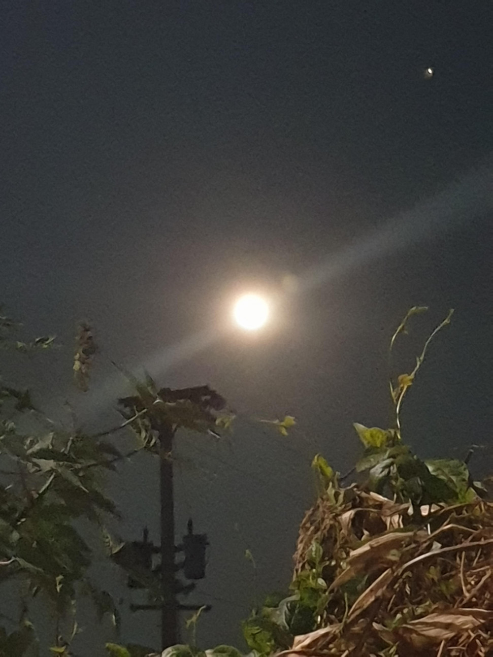 20201030_184227.jpg : 바람 슝슝 분다 20201030_184227.jpg : 바람 슝슝 분다