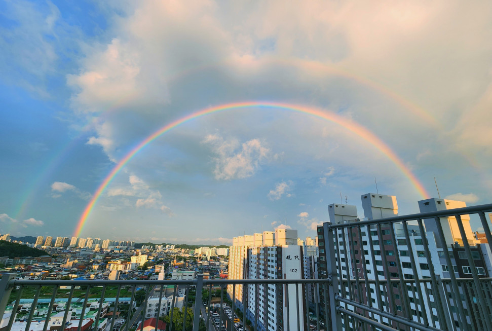 IMG_6527.jpeg : 인증ㅅ.을 하라고 IMG_6527.jpeg : 인증ㅅ.을 하라고