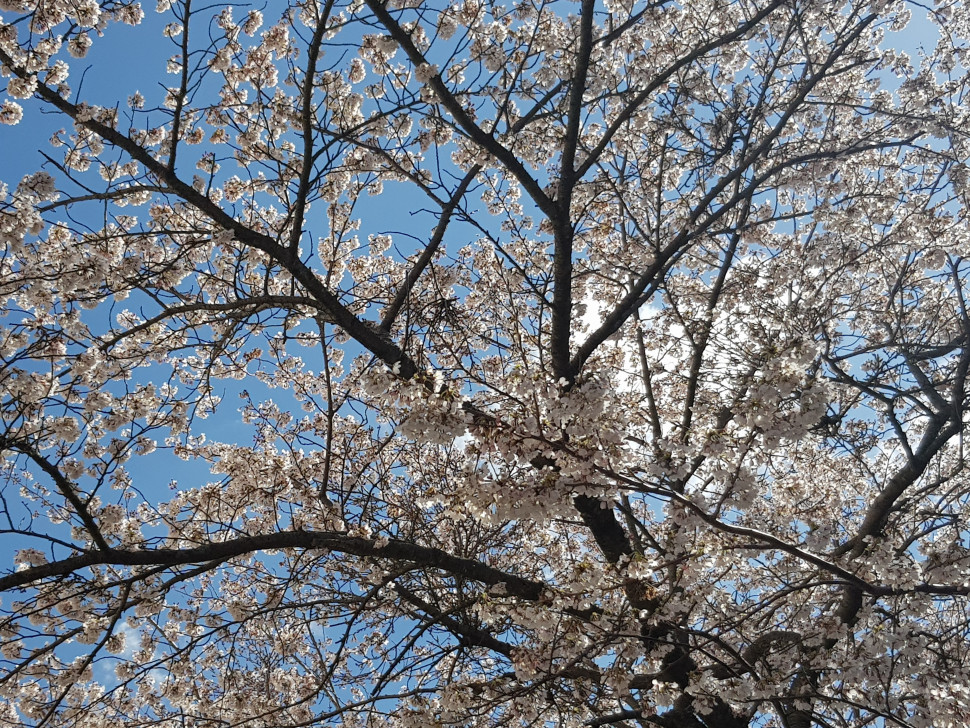 20210322_115813.jpg