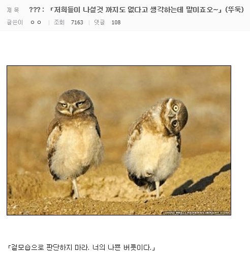1553369342.jpg : 사천왕 ㄷㄷ 1553369342.jpg : 사천왕 ㄷㄷ
