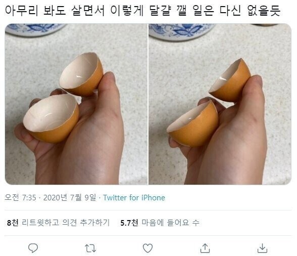 1663917017411.jpg : 띠용 1663917017411.jpg : 띠용