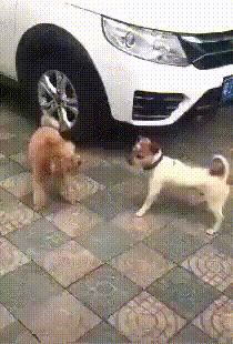 1640432355.gif : 대조영이나왕건정주행한번하고싶은소망이있다 1640432355.gif : 대조영이나왕건정주행한번하고싶은소망이있다