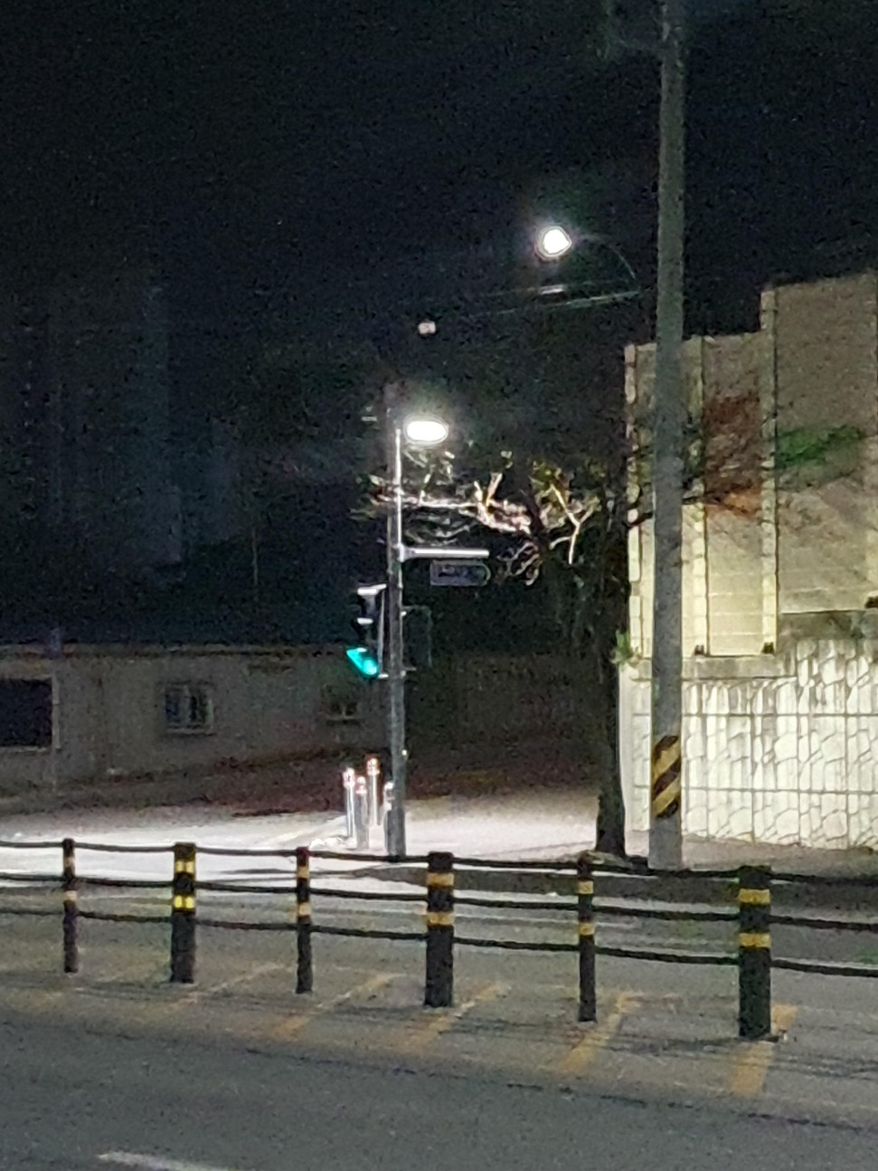 20250329_032217.jpg : 와 너네 고양이가 파란불에 횡단보도 건너는 거 본 적 있냐?? 20250329_032217.jpg : 와 너네 고양이가 파란불에 횡단보도 건너는 거 본 적 있냐??