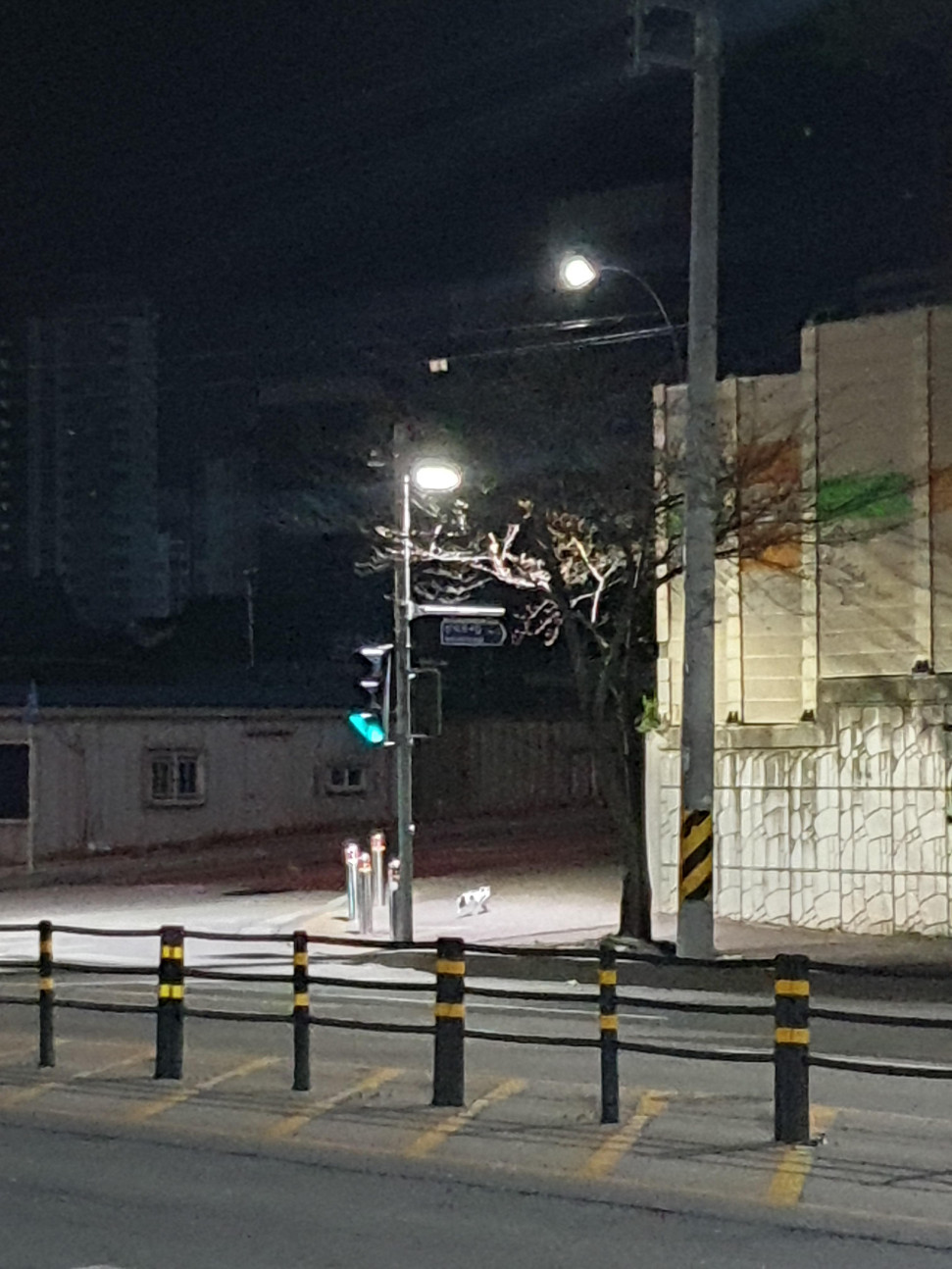 20250329_032219.jpg : 와 너네 고양이가 파란불에 횡단보도 건너는 거 본 적 있냐?? 20250329_032219.jpg : 와 너네 고양이가 파란불에 횡단보도 건너는 거 본 적 있냐??