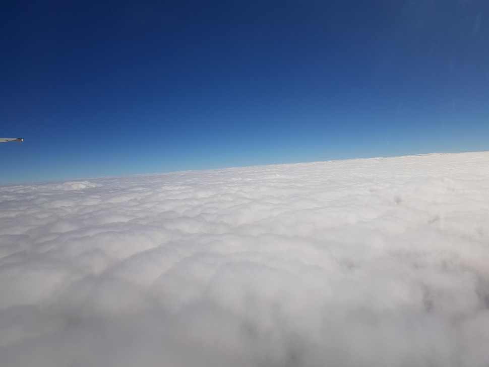 20201107_120021.jpg