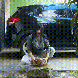 1586961266.gif : BNA잼다 1586961266.gif : BNA잼다