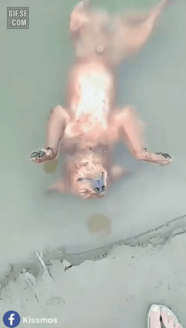 1643671867759.gif : 물개 1643671867759.gif : 물개