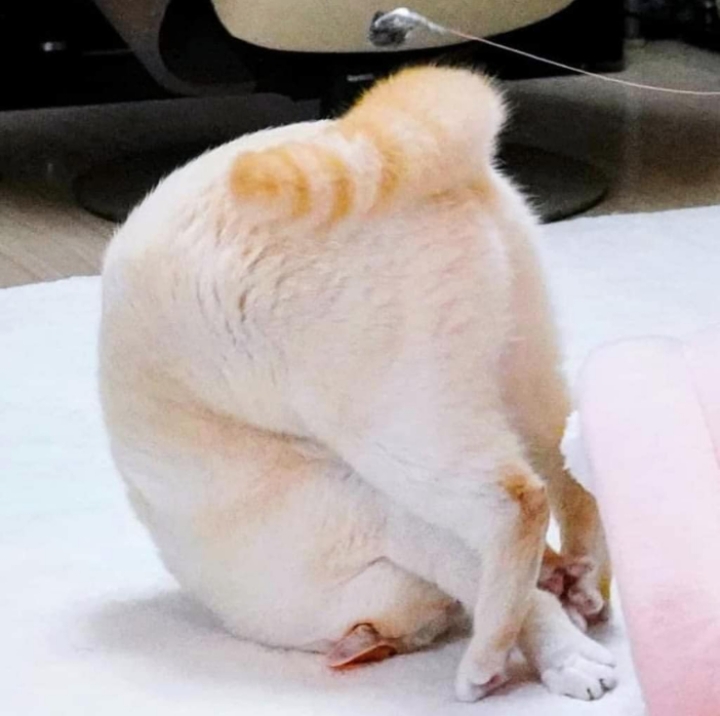 1572935214 (3).JPEG : 그랜절