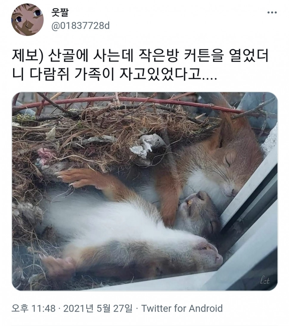 1664127764608.jpg : 음주운전으로 배우들 훅훅 가는 거 보면 안타깝다