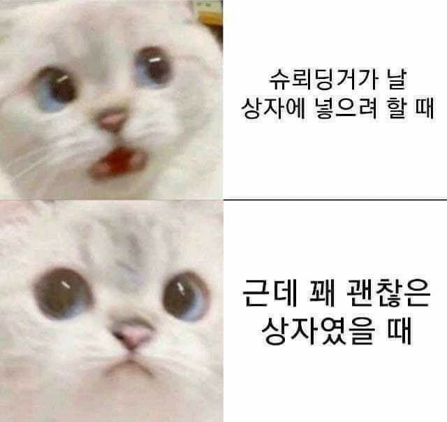 1601378248526.jpg : 음냐 배고픈대 1601378248526.jpg : 음냐 배고픈대