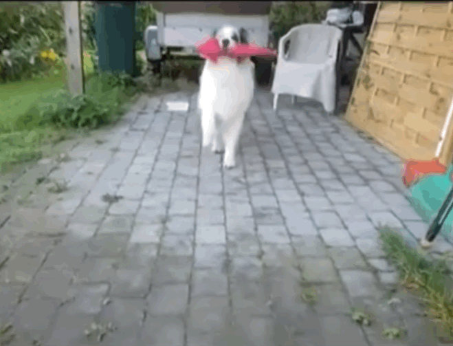a66827d3e2f7d94e8dd1226b19977f66.gif : 헉 좀비맨 완전 a66827d3e2f7d94e8dd1226b19977f66.gif : 헉 좀비맨 완전