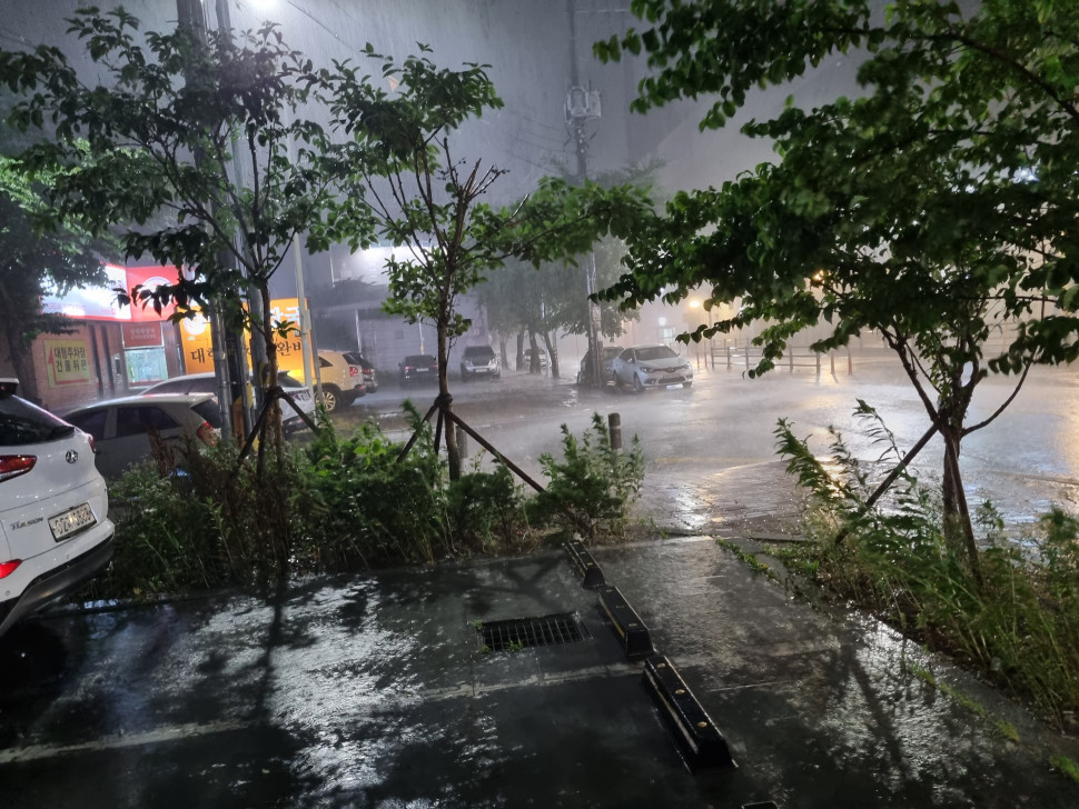 20230628_000718.jpg : 갑자기 비 존나많이오네 20230628_000718.jpg : 갑자기 비 존나많이오네