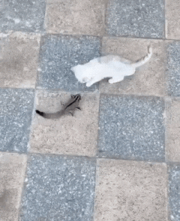 1650457565.gif : 안아줘요 1650457565.gif : 안아줘요