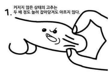 64211911_484303422129667_5208906069954265088_n.jpg : 존윅2 개잼넹ㅋㅋㅋ 64211911_484303422129667_5208906069954265088_n.jpg : 존윅2 개잼넹ㅋㅋㅋ