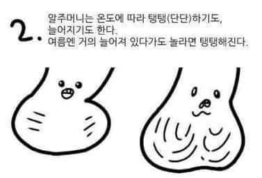 62548339_484303462129663_2616456568773804032_n.jpg : 존윅2 개잼넹ㅋㅋㅋ 62548339_484303462129663_2616456568773804032_n.jpg : 존윅2 개잼넹ㅋㅋㅋ
