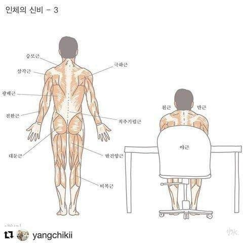 1623519400760-1.jpg : 근육 1623519400760-1.jpg : 근육