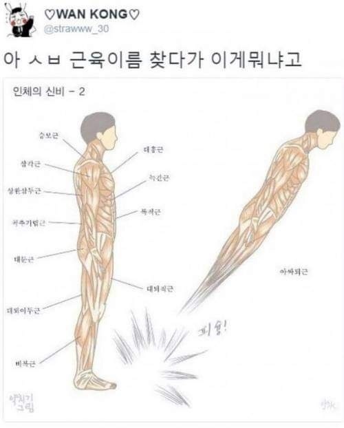 1623519400760-0.jpg : 근육 1623519400760-0.jpg : 근육