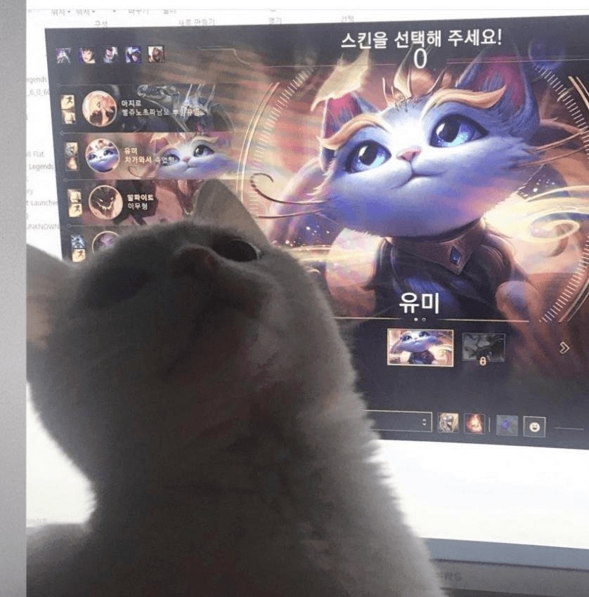 35728F81-A654-4DE2-B359-3C902795A375.jpeg : 네흥이 이제 잘까... 35728F81-A654-4DE2-B359-3C902795A375.jpeg : 네흥이 이제 잘까...