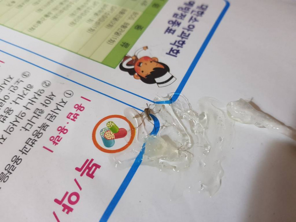 5d0139c79943a.jpg : 결국 그녀석의 봉인이 풀리고 만것인가... 5d0139c79943a.jpg : 결국 그녀석의 봉인이 풀리고 만것인가...