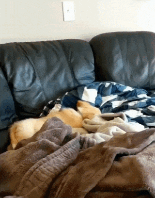 1746623858.gif : 갓 1746623858.gif : 갓