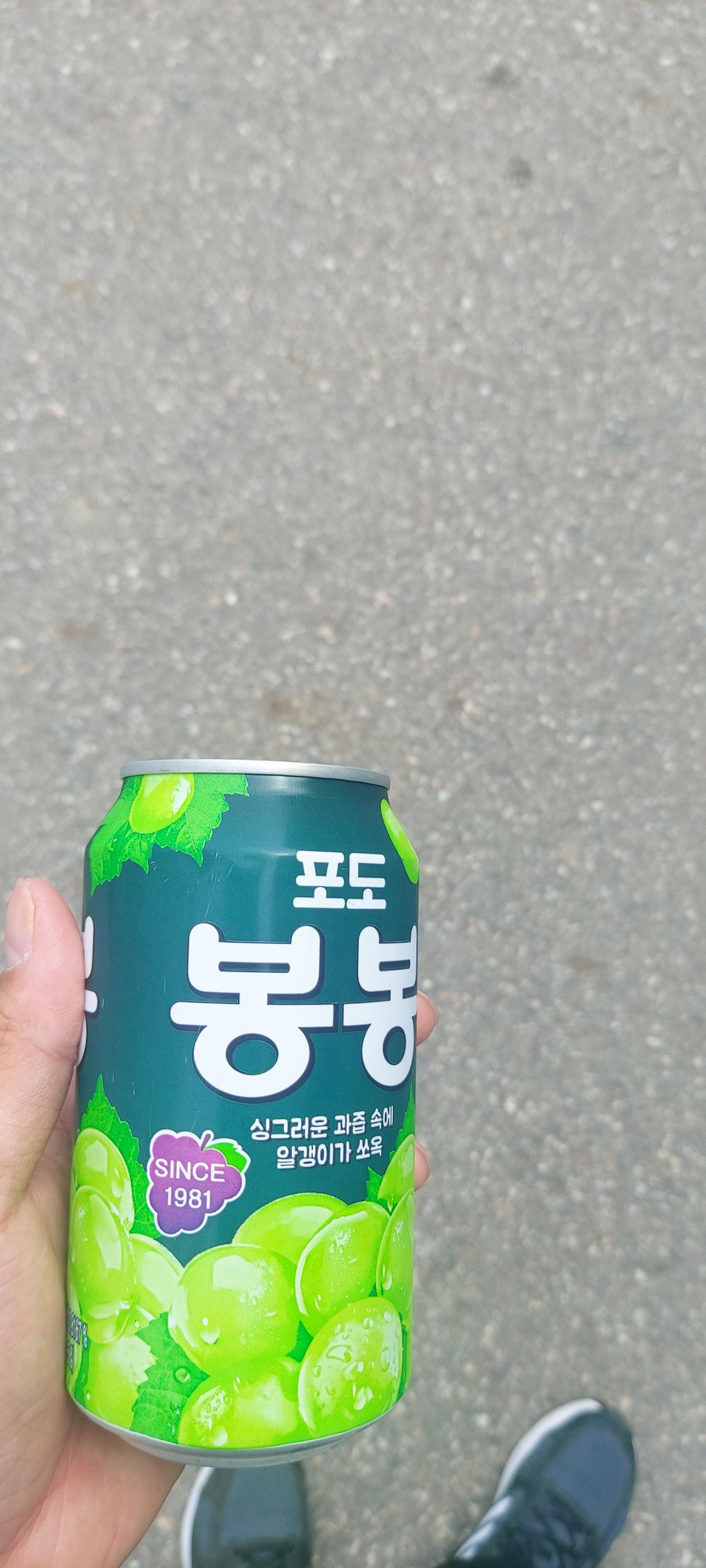 16225122518523945974473542743536.jpg : 이거 오랜만에 마셔본다 16225122518523945974473542743536.jpg : 이거 오랜만에 마셔본다