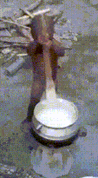 65f3010bb5eb238236a32f41ab8f26d1.gif : 뷰지 달았으면 65f3010bb5eb238236a32f41ab8f26d1.gif : 뷰지 달았으면