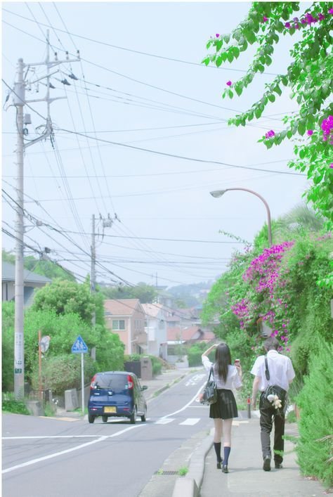 8540DD2C-E8CF-437D-9534-226D4EBB0DBB.jpeg : 아씨 개똥 밟음 8540DD2C-E8CF-437D-9534-226D4EBB0DBB.jpeg : 아씨 개똥 밟음