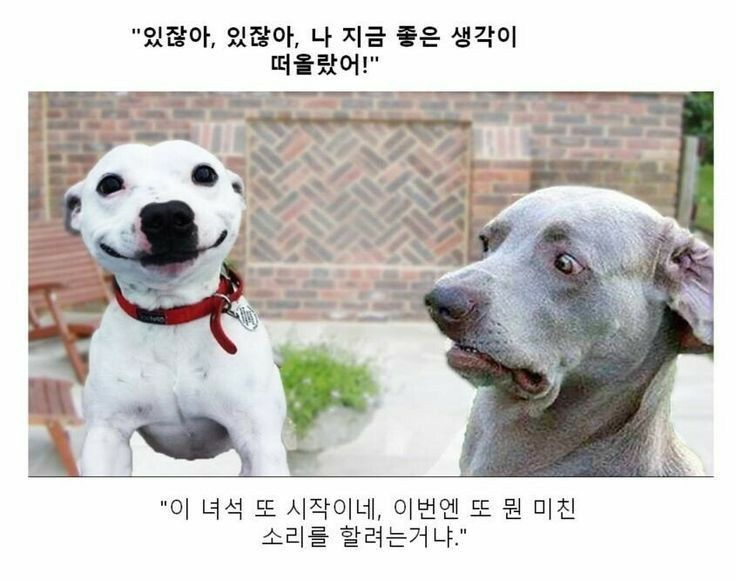 19574ec58c0597067.jpg : 그럼죽어 19574ec58c0597067.jpg : 그럼죽어