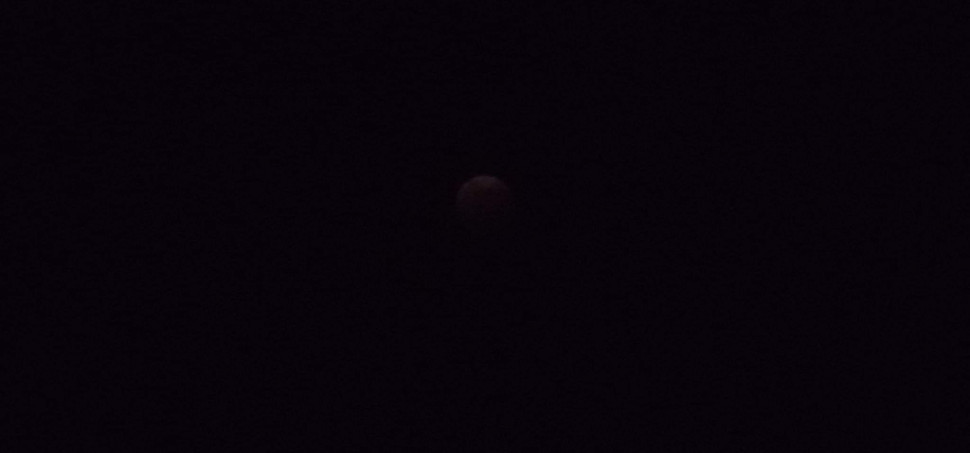 received_1128335221142258.jpeg : 한장 더