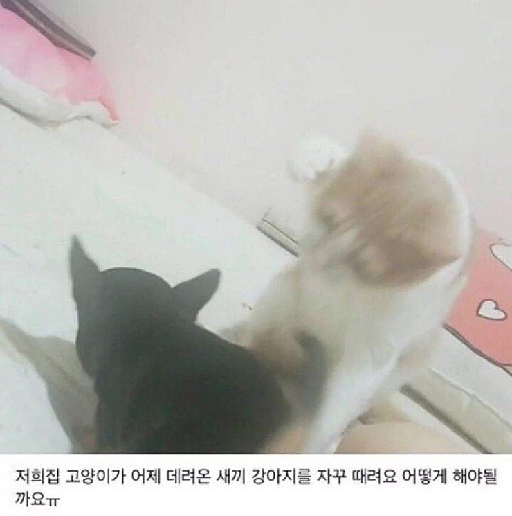 1616653628.jpg : 더자고싶당