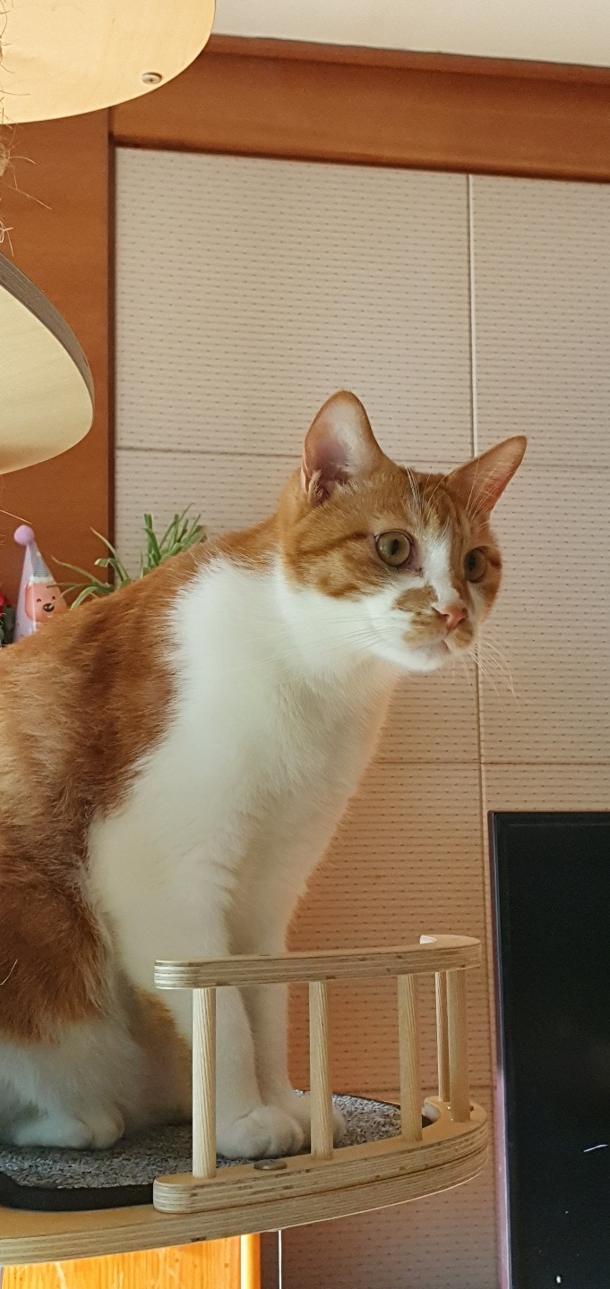 1666055636432.jpg : 덤앤더머 구경하고가라 ㅅㅂㅋㅋㅋㅋㅋㅋ 1666055636432.jpg : 덤앤더머 구경하고가라 ㅅㅂㅋㅋㅋㅋㅋㅋ