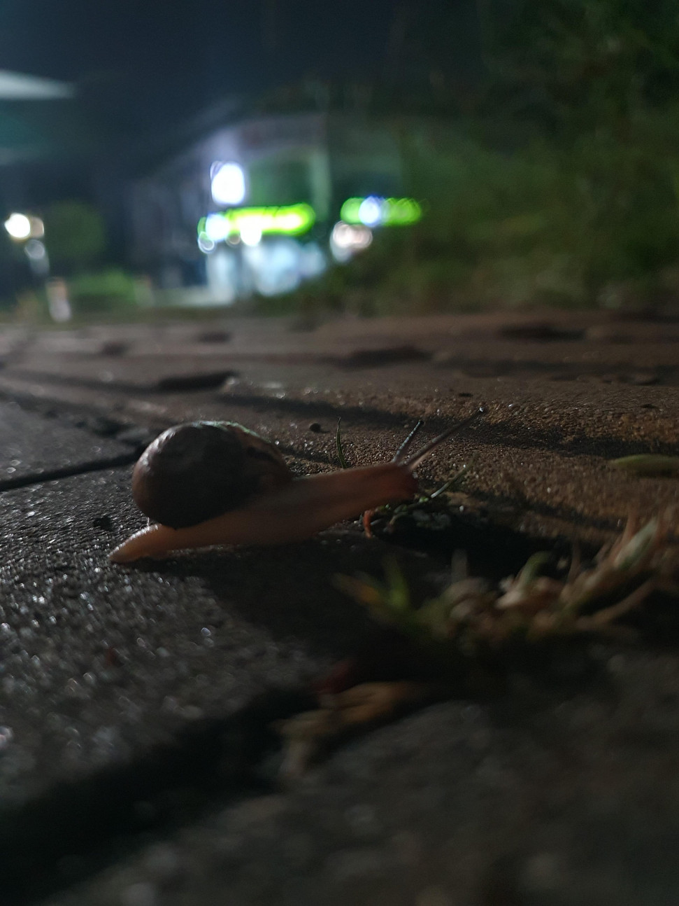 20240527_020908.jpg : 집에 오는 길은
