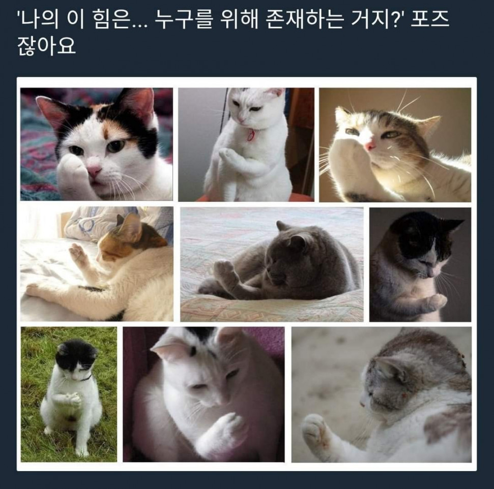 1655801949568.jpg : 나의 이 힘은 누구를 위해 존재하는 거지? 1655801949568.jpg : 나의 이 힘은 누구를 위해 존재하는 거지?