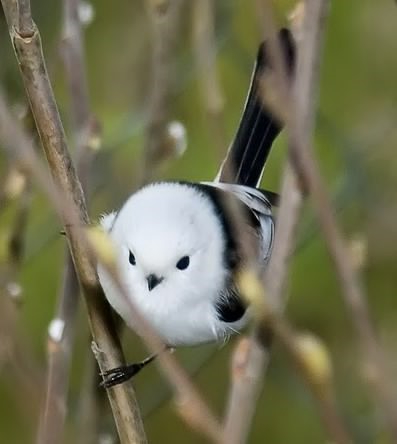 166bae0f66348e89d.jpg : 늦게까지 일하는 네흥이가