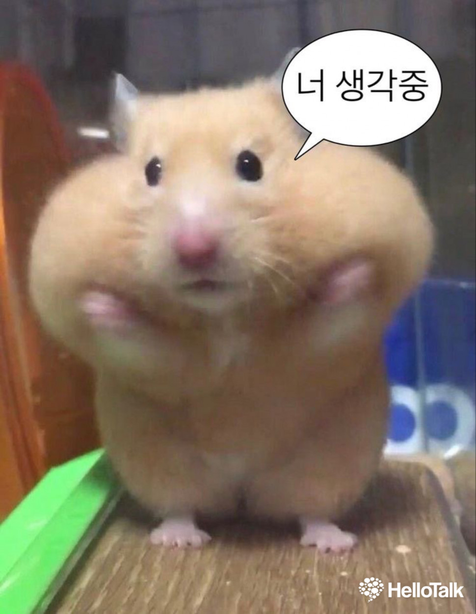 4FBD001F-F247-4B64-BC87-CFAC3887CEAF.jpeg : ㄴㅅㄱㅈ 4FBD001F-F247-4B64-BC87-CFAC3887CEAF.jpeg : ㄴㅅㄱㅈ