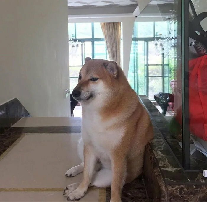 1616538504-1.jpg : 네흥이 지갑 깜빡했다 1616538504-1.jpg : 네흥이 지갑 깜빡했다