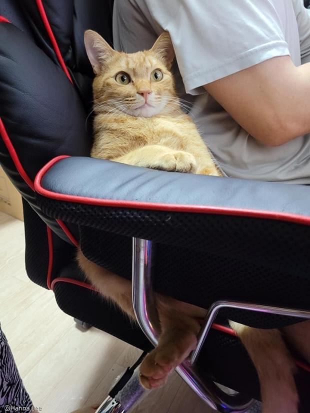 1672330563460.jpeg : 임마 왤케 편해버이냥 1672330563460.jpeg : 임마 왤케 편해버이냥