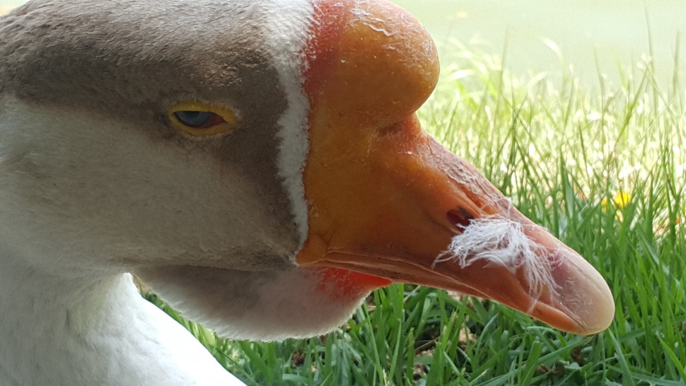 20190529_141056.jpg : 꽥 20190529_141056.jpg : 꽥