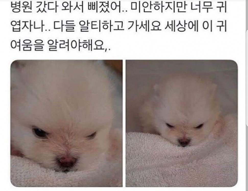 58460872_376012023011045_7413400581265424384_o.jpg : 기븐 완 전 네 망 58460872_376012023011045_7413400581265424384_o.jpg : 기븐 완 전 네 망