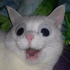 165655_1481816761.jpg : 이직하면 나인투식스로 시간 썩어넘칠 예정인데 구몬으로 일본어나 배워볼까 165655_1481816761.jpg : 이직하면 나인투식스로 시간 썩어넘칠 예정인데 구몬으로 일본어나 배워볼까