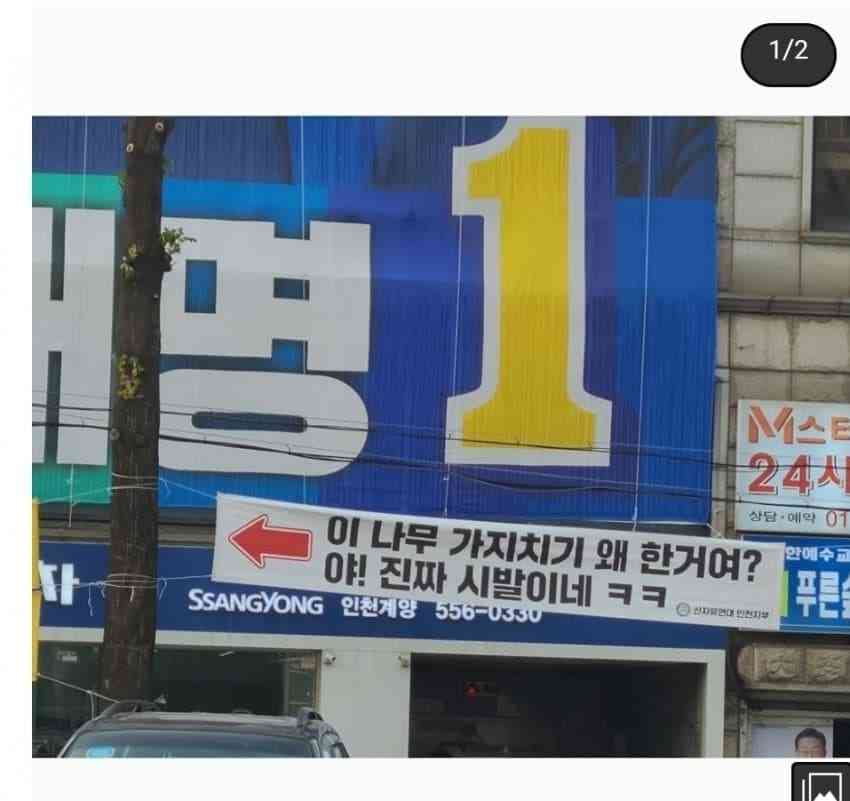 8BF7E75D-9127-4178-8851-6BA872E5B40D.jpeg : 현실 댓글ㅋㅋ 8BF7E75D-9127-4178-8851-6BA872E5B40D.jpeg : 현실 댓글ㅋㅋ
