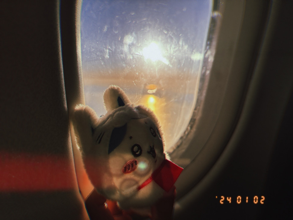 IMG_9116.jpeg : 네모닝 IMG_9116.jpeg : 네모닝