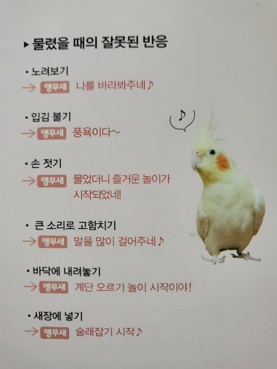 1661321771833.jpg : 네흥무새 1661321771833.jpg : 네흥무새