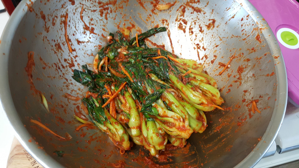 20160913_161317.jpg : 난 청경채가 좋아 20160913_161317.jpg : 난 청경채가 좋아